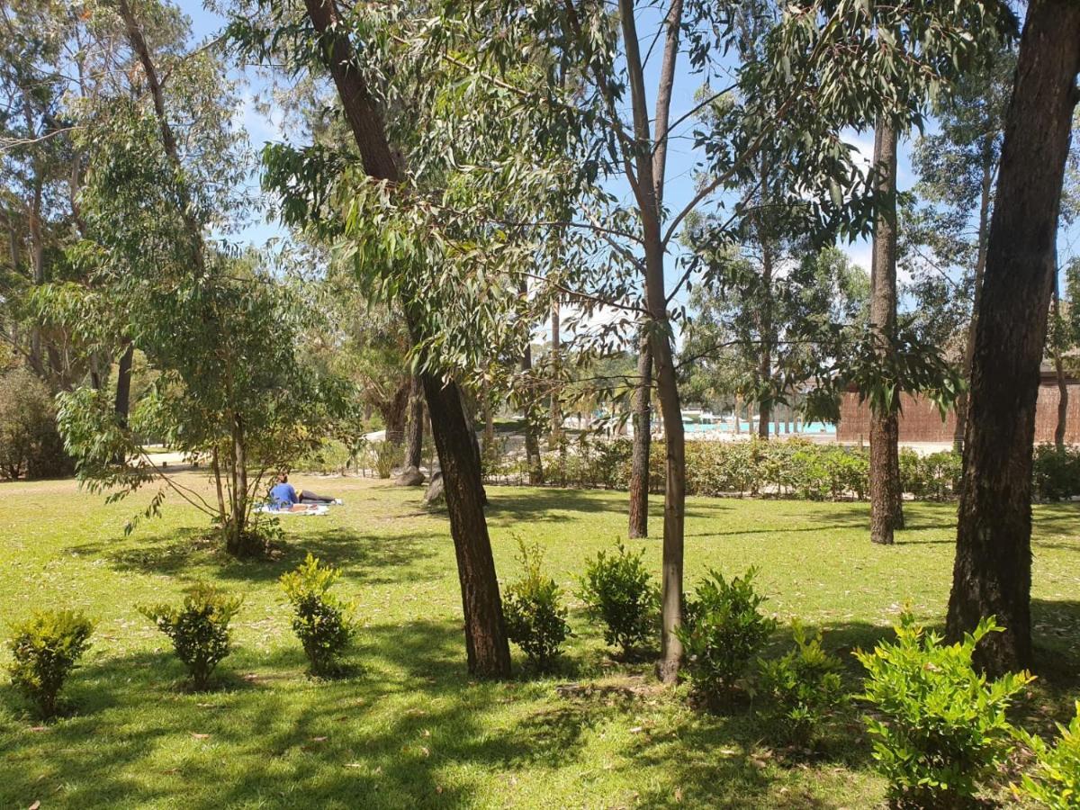 Punta Del Este, Forest Lagoon, Luxury Punta del Este